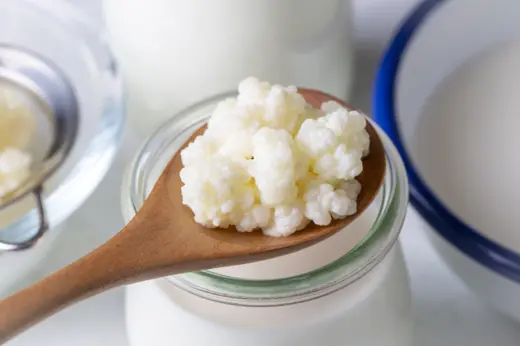 Milk kefir with live kefir grains
