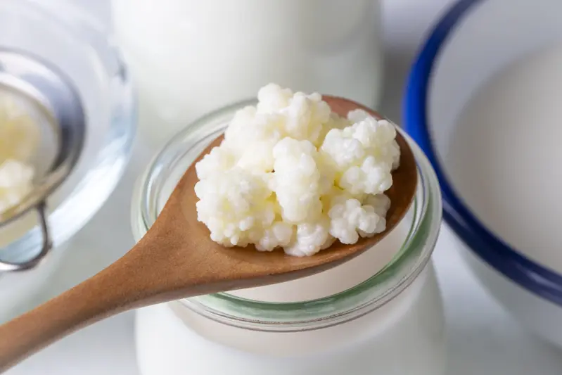 Milk kefir with live kefir grains