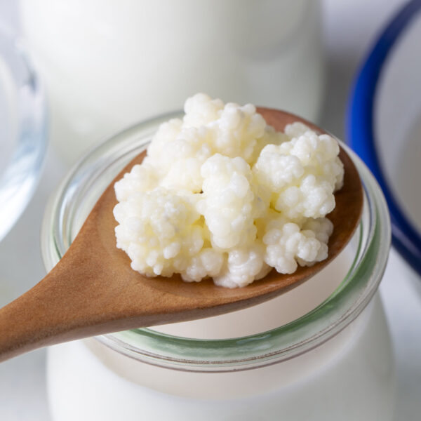 Live Milk Kefir Grains (1 Tbsp Starter)
